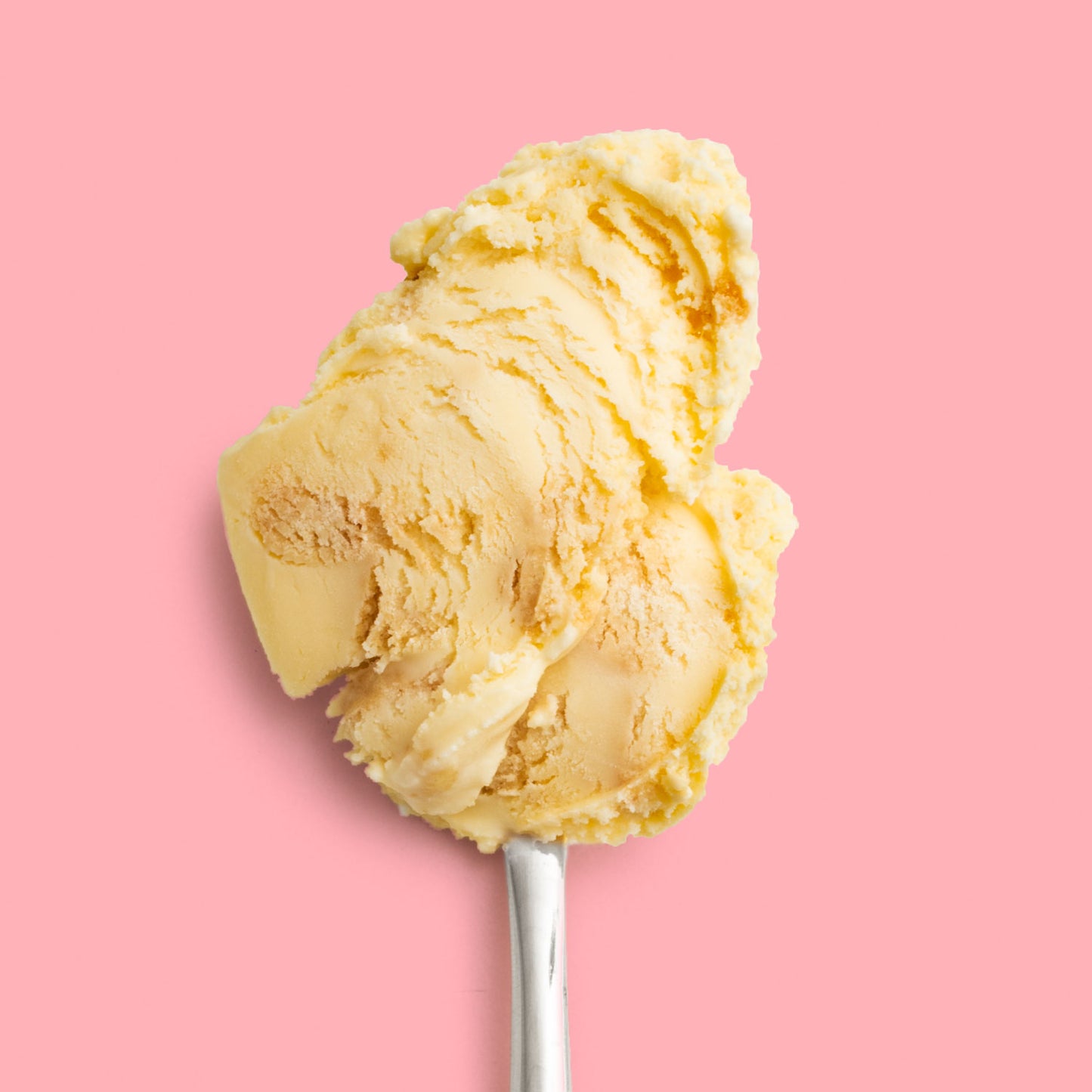 Biscuits With The Boss Pint Jeni's Splendid Ice Creams